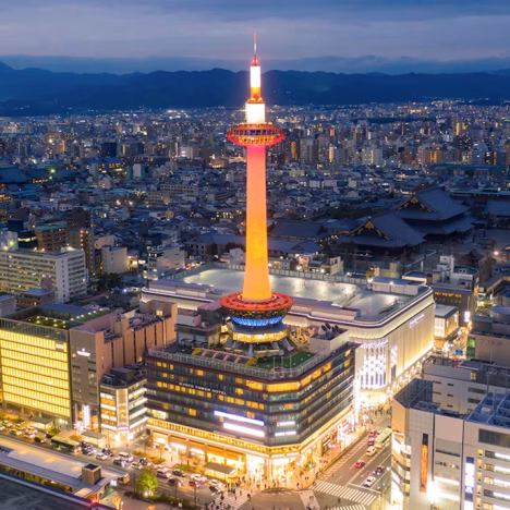 Où admirer les fleurs de lotus au Japon : itinéraire estival entre jardins sacrés et paysages apaisés